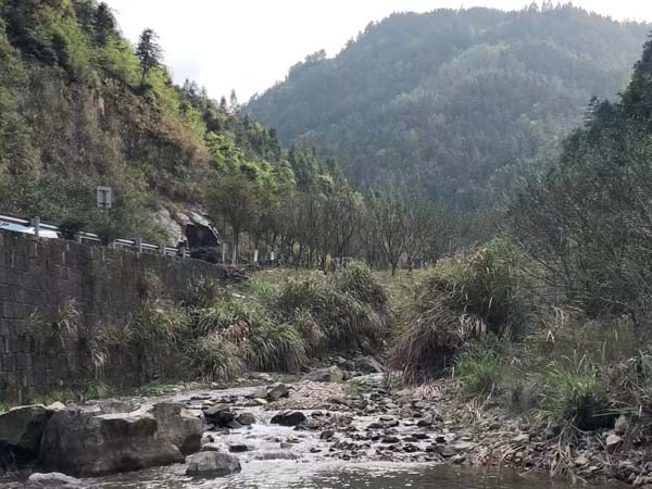 建設工程合同出現問題怎么辦？上海工程糾紛律師為您解答