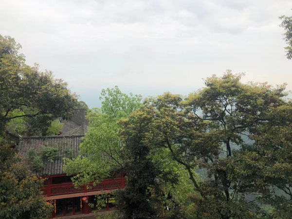 年輕人因賭博欠債變身詐騙犯，被判刑十年！上海專業(yè)刑事律師來回答